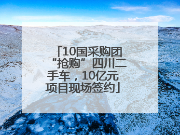10国采购团“抢购”四川二手车，10亿元项目现场签约