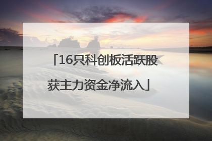 16只科创板活跃股获主力资金净流入