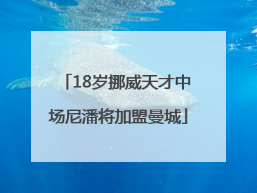 18岁挪威天才中场尼潘将加盟曼城