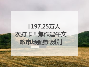 197.25万人次打卡！焦作端午文旅市场强势吸粉