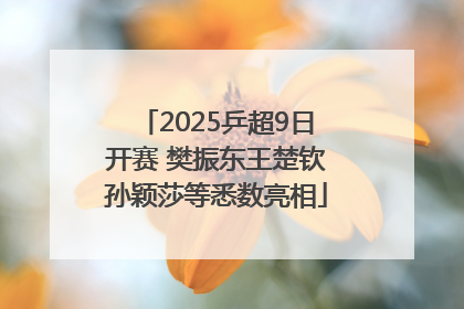 2025乒超9日开赛 樊振东王楚钦孙颖莎等悉数亮相