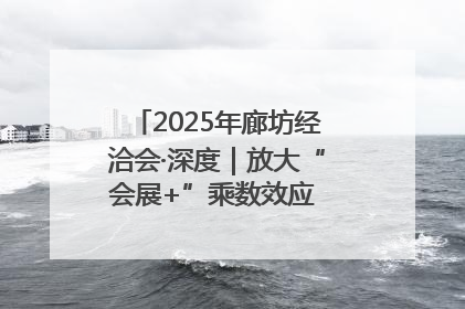 2025年廊坊经洽会·深度｜放大“会展+”乘数效应 打造消费新场景