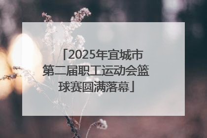 2025年宜城市第二届职工运动会篮球赛圆满落幕
