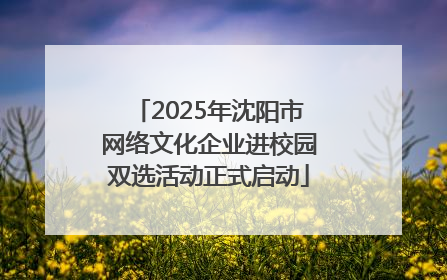 2025年沈阳市网络文化企业进校园双选活动正式启动