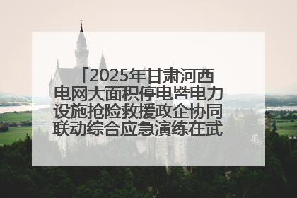 2025年甘肃河西电网大面积停电暨电力设施抢险救援政企协同联动综合应急演练在武威成功举行