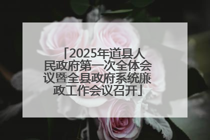 2025年道县人民政府第一次全体会议暨全县政府系统廉政工作会议召开