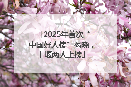 2025年首次“中国好人榜”揭晓，十堰两人上榜