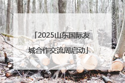 2025山东国际友城合作交流周启动