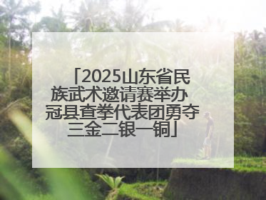2025山东省民族武术邀请赛举办 冠县查拳代表团勇夺三金二银一铜