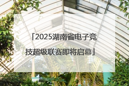 2025湖南省电子竞技超级联赛即将启幕