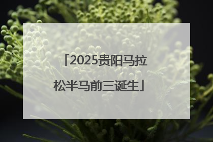 2025贵阳马拉松半马前三诞生