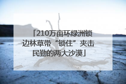 210万亩环绿洲锁边林草带“锁住”夹击民勤的两大沙漠