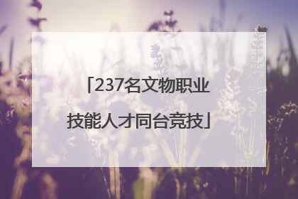 237名文物职业技能人才同台竞技