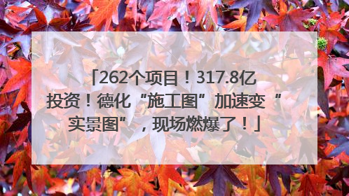 262个项目！317.8亿投资！德化“施工图”加速变“实景图”，现场燃爆了！