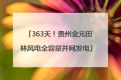 363天！贵州金元田林风电全容量并网发电