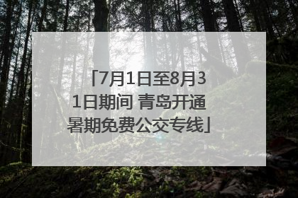 7月1日至8月31日期间 青岛开通暑期免费公交专线