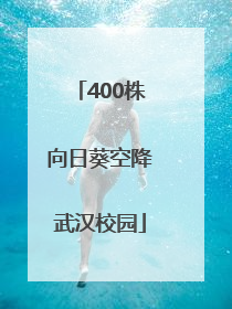 400株向日葵空降武汉校园