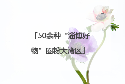 50余种“淄博好物”圈粉大湾区