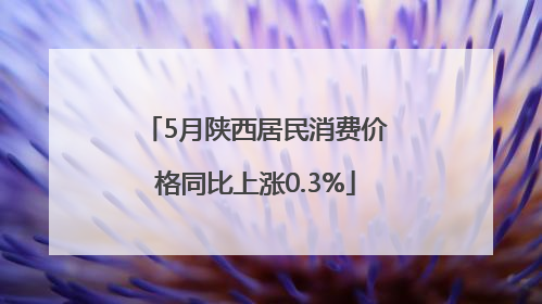 5月陕西居民消费价格同比上涨0.3%