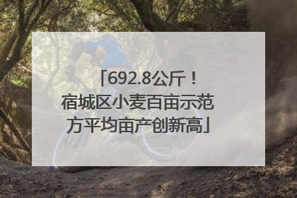 692.8公斤！宿城区小麦百亩示范方平均亩产创新高