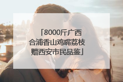 8000斤广西合浦香山鸡嘴荔枝赠西安市民品鉴