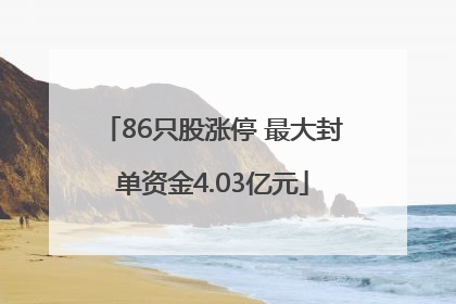 86只股涨停 最大封单资金4.03亿元