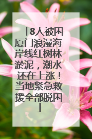 8人被困厦门浪漫海岸线红树林淤泥，潮水还在上涨！当地紧急救援全部脱困