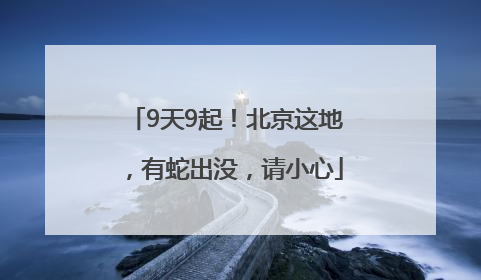 9天9起！北京这地，有蛇出没，请小心