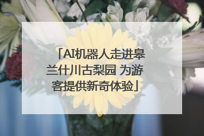 AI机器人走进皋兰什川古梨园 为游客提供新奇体验