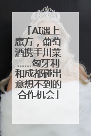 AI遇上魔方，葡萄酒携手川菜……匈牙利和成都碰出意想不到的合作机会
