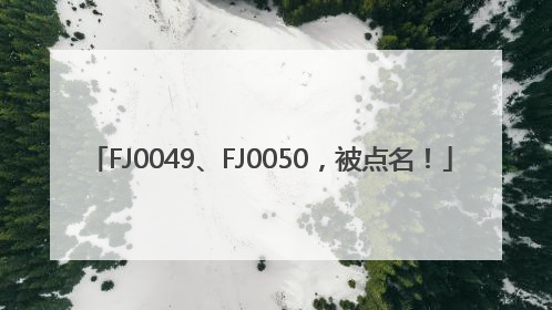 FJ0049、FJ0050，被点名！