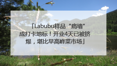 Labubu样品“痛墙”成打卡地标！开业4天已被挤爆，堪比早高峰菜市场